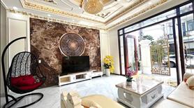 Siêu Phẩm Biệt Thự Tân Cổ Điển Góc 2 Mặt Tiền  An Phú Bình Dương - Ảnh 2