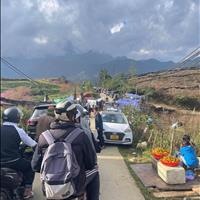 Sapa – 30.000M2 (3HA) - 300M bám mặt đường, sát cạnh Ecopark (khu đô thị đồi chè Ô quý hồ )