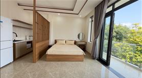 Homestay dòng tiền 65tr/1tháng đường oto giá chỉ 9ti50 - Ảnh 2