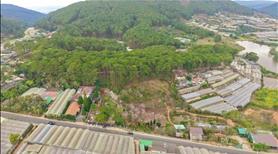 Hạ giá chính chủ gửi bán đất MT Cam Ly tại Làng Hoa Vạn Thành giá tốt View rừng Thông cực đẹp - Ảnh 6