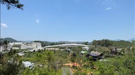 Hạ giá chính chủ gửi bán đất MT Cam Ly tại Làng Hoa Vạn Thành giá tốt View rừng Thông cực đẹp - Ảnh 7