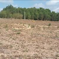 Bán đất xào giá ngộp 1050m2 - Gò Sầm- Láng Dài- Đất Đỏ- HCM