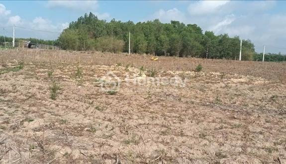 Bán đất xào giá ngộp 1050m2 - Gò Sầm- Láng Dài- Đất Đỏ- HCM - Ảnh 1