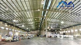 Bán xưởng KCN Nhơn Trạch 30.000m2 đã đóng tiền 1 lần - Ảnh 3