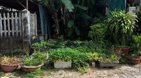 Lô đất mặt tiền UBND phường Hòa Xuân. Đường 7.5m, lề 4m .Diện tích 100m2. - Ảnh 4