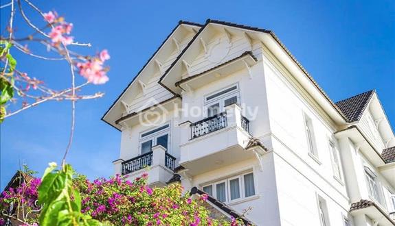 Cho thuê villa đường Ngô Tất Tố phường 8 Đà Lạt giá 40 triệu - Ảnh 1