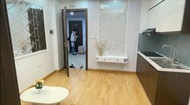 Mở bán chung cư mini Tân Khai mới 100% - 35-50m2 - gần ô tô - về ở ngay - Ảnh 3