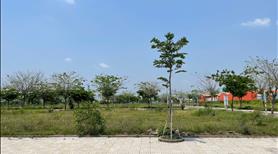 Sở hữu nền 90m² Ora Park chỉ từ 21,x triệu/m² – sổ riêng sẵn - kết nối nhanh Bình Chánh, Hóc Môn - Ảnh 5