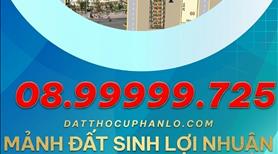 Bán Đất Diện Tích Lớn Tại Ninh Hòa – Quốc Lộ 26 (Xã Ninh Tây) - Ảnh 7
