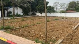 👉 Đất Cổ Đông 104.6m² gần ĐHQG Hòa Lạc – MT 5m, đường thông, giá chỉ 3.1 tỷ - Ảnh 3