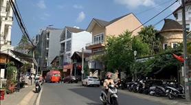 Đất mặt tiền Mạc Đĩnh Chi vị trí vàng. Khu phố xá sầm uất kinh doanh đa ngành nghề - Ảnh 3