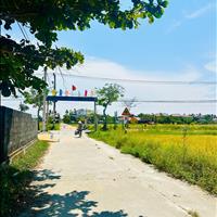 Hàng hiếm đất view lúa trực diện tại Hội An, 130m2, giá chỉ 4,3 tỷ