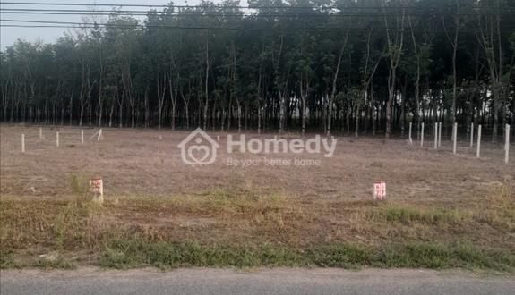 Bán đất 4-4 Xã Dương Minh Châu Tây Ninh 175m2 thổ cư quy hoạch lộ giới 30.2m2, 5mx28.96m, 500 triệu - Ảnh 1