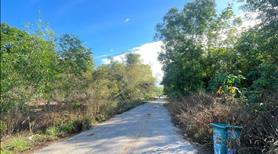 Đất Dầu Tiếng chủ ngộp ngân hàng cần bán gấp - Ảnh 2