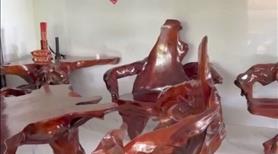 Bán miếng đất 1041m2 nghỉ dưỡng tại xã thông hội tân uyên bình dương - Ảnh 14