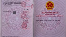 🏡  Bán Gấp Nhà 1/ Hẻm 12m Quang Trung Gò Vấp Chính Chủ Thương Lượng Mạnh Dạn Pháp Lý Nhanh Gọn🏡 - Ảnh 13