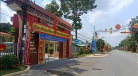 Bán Ngộp Lô Đất 210m2 Đất Thổ Cư, Giá 500 Triệu, Sổ Hồng Riêng, MT đường Nhựa 16m - Ảnh 3