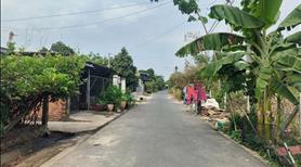 Chủ đang kẹt tiền trả nợ cần bán nhanh vườn chôm chôm thái diện tích 5000m2 giá 330tr - Ảnh 3