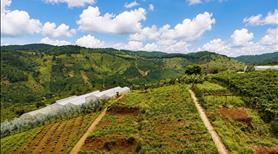 Bán lô đất VIEW đồi rừng thông , QH full Thổ Cư , cách Đà Lạt 10km , Giá đàu tư - Ảnh 3