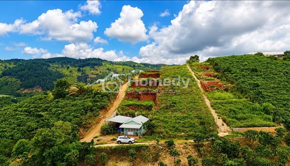 Bán lô đất VIEW đồi rừng thông , QH full Thổ Cư , cách Đà Lạt 10km , Giá đàu tư - Ảnh 1