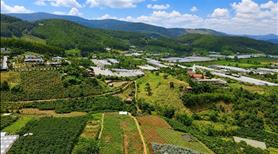 Bán lô đất VIEW đồi rừng thông , QH full Thổ Cư , cách Đà Lạt 10km , Giá đàu tư - Ảnh 2