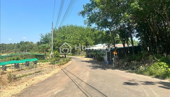 Chue kẹt tiền trả nợ bán gấp lô đất 200m2 ngay KCN giá 190tt - Ảnh 1
