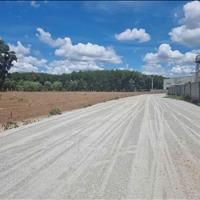 tôi bán miếng đất 1000m2 giá bán 85trieu sổ sẳn đường oto đi
