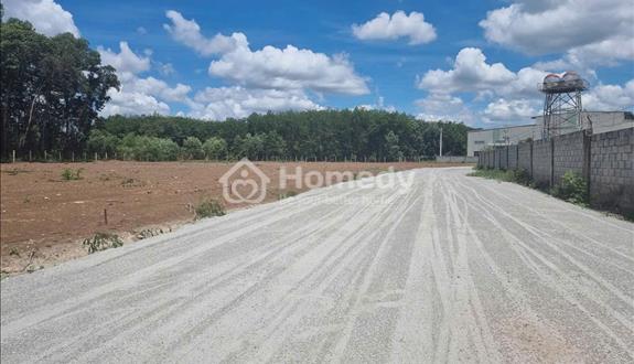 tôi bán miếng đất 1000m2 giá bán 85trieu sổ sẳn đường oto đi - Ảnh 1