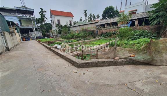 Bán 48m đất xen kẹt siêu đẹp xã Đại Thanh, ngõ rộng, vị trí đẹp - Ảnh 1
