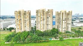 Cho Thuê Căn Hộ The Canary Height Bình Dương - Ảnh 8