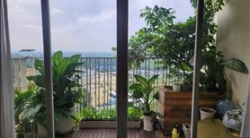 Cho Thuê Căn Hộ The Canary Height Bình Dương - Ảnh 14