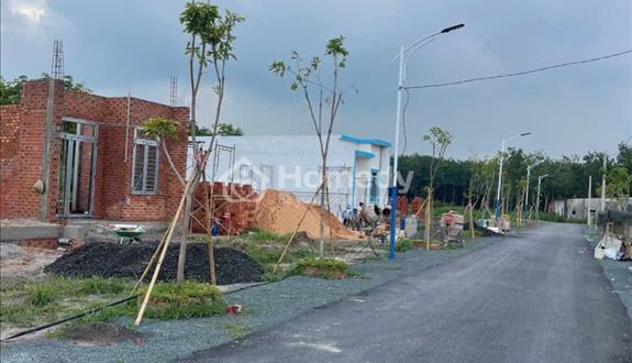 Bán vườn bưởi có 100m thổ cư tại Trừ Văn Thố Hồ Chi Minh - Ảnh 1