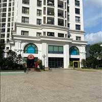 Cho thuê văn phòng - MBKd tại TTTM Royal City, Nguyễn Trãi, Thanh Xuân 