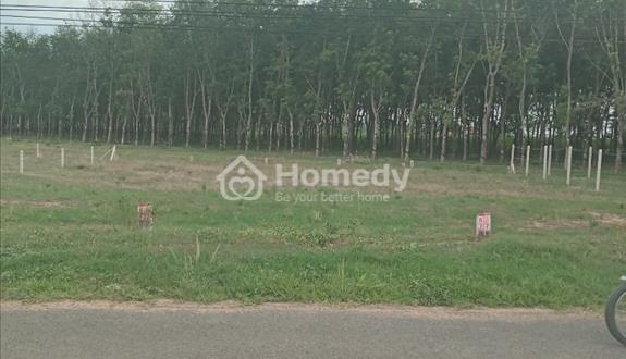 Bán đất 144.8m2 thổ cư 678 4-4 Xã Dương Minh Châu 500 triệu quy hoạch lộ giới đường nhựa 20m - Ảnh 1