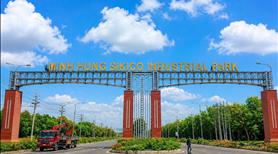  350tr Sở Hữu Ngay Lô Đất 250m² Sát Kcn Minh Hưng Sikico - Đồng Nơ - Ảnh 3