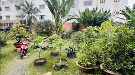 Mặt Tiền Lê Tấn Bê phường An Lạc, Quận Bình Tân gần 2000m2 chỉ 188 tỷ - Ảnh 3