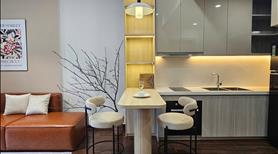 Cho thuê quỹ căn hộ Vinhomes Smart City – Giá Tốt, vào ở ngay ! - Ảnh 10