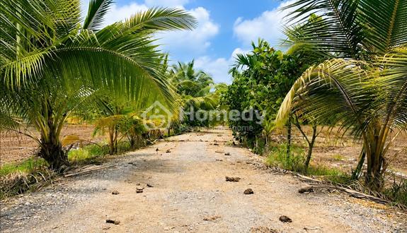 Bán đất thổ cư chính chủ 300m² (10m x 30m) tại Hựu Thạnh – Đức Hòa – Long An (nay thuộc Tây Ninh) - Ảnh 1