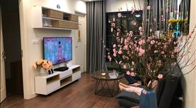 Bán căn hộ chung cư cao cấp Imperia Garden 203 Nguyễn Huy Tưởng - Ảnh 3