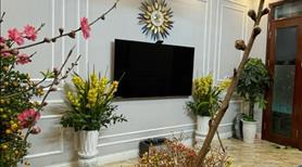 Bán nhà Tân Mai, 38m2, 5 tầng, VF3 đỗ cửa, kinh doanh tốt, ngõ thông, thoáng sáng, giá 10.5 tỷ. - Ảnh 2