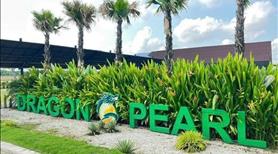 Lô đất đẹp Dragon Pearl 90M2 | Shr- KDC Ngọc Long - Đất gần KCN, Công viên cây xanh GIÁ chỉ 1,9 TỶ - Ảnh 2