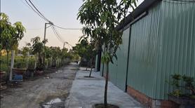 Chính Chủ Cho Thuê Giá Rẻ Kho Xưởng Diện Tích Lớn 300m2 Quận Hóc Môn  - Ảnh 3