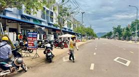 Đất khu công nghiệp Vsip Bình Định đầu tư giai đoạn F0 - Ảnh 6
