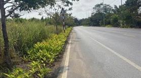 Hot! hàng hiếm tại xã Phước Thuận, 34 tỷ, 527m2, đất thổ cư gần đường lớn - Ảnh 2