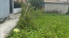 Bán đất chính chủ tại ngõ 18 thôn Siêu Quần xã Tả Thanh Oai, Thanh Trì - Ảnh 6