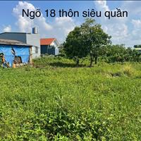 Bán đất chính chủ tại ngõ 18 thôn Siêu Quần xã Tả Thanh Oai, Thanh Trì