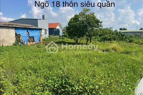 Bán đất chính chủ tại ngõ 18 thôn Siêu Quần xã Tả Thanh Oai, Thanh Trì