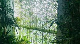 Chính chủ bán căn duplex cao cấp căn góc Ecogreen 286 Nguyễn Xiển - Ảnh 11