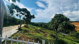 Bán Đất Ven Đà Lạt, View Hồ Cực Đẹp. Liên hệ: 0335497777 - Ảnh 8
