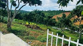 Bán Đất Ven Đà Lạt, View Hồ Cực Đẹp. Liên hệ: 0335497777 - Ảnh 5